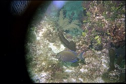 5942_04a.jpg