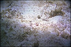 5942_08a.jpg