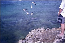 5942_22a.jpg