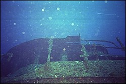 5943_03a.jpg