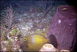 5943_11a.jpg