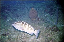 5943_12a.jpg