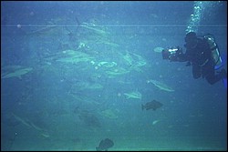 5943_15a.jpg