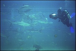 5943_16a.jpg