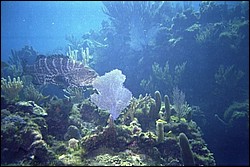 5944_04a.jpg