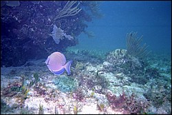 5944_08a.jpg
