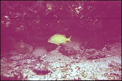 5944_09a.jpg