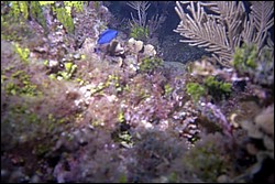5944_10a.jpg