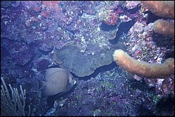 5944_11a.jpg