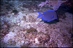 5944_12a.jpg