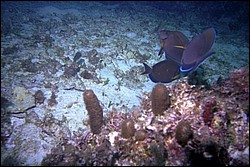 5944_13a.jpg