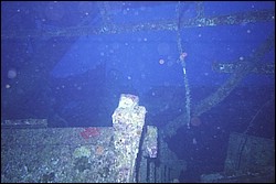 5945_01a.jpg