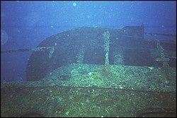 5945_03a.jpg