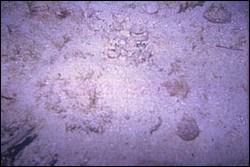 5945_05a.jpg