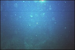 5945_11a.jpg