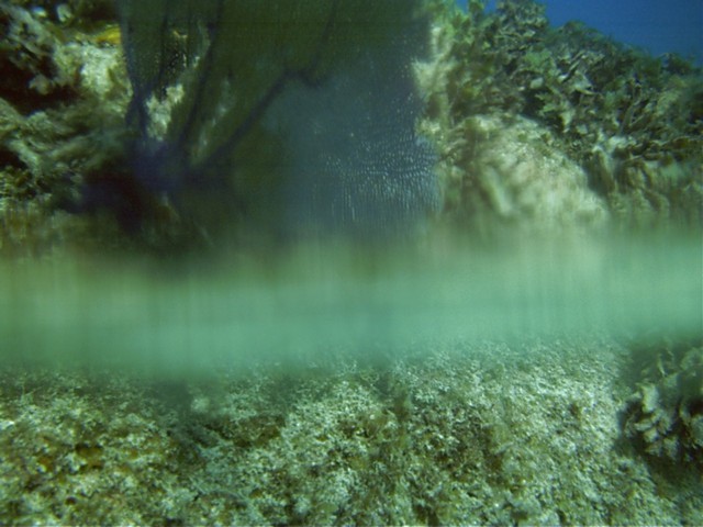 IMAG0003.JPG