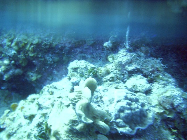 IMAG0006.JPG