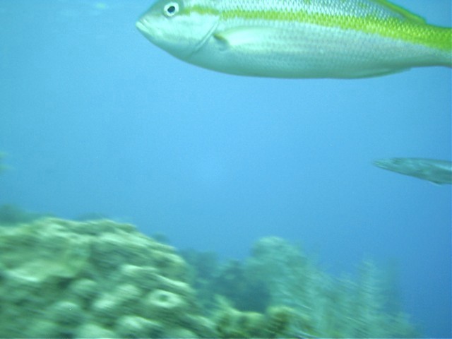 IMAG0013.JPG