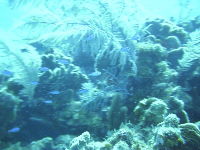 IMAG0016.JPG