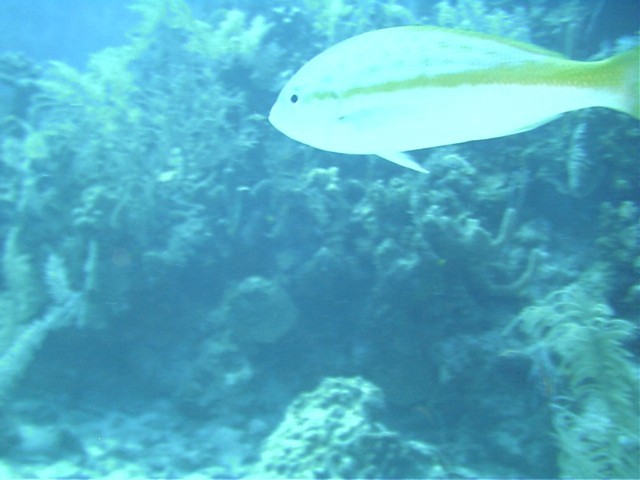 IMAG0019.JPG