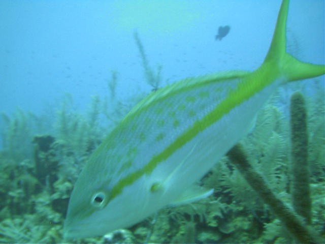 IMAG0025.JPG