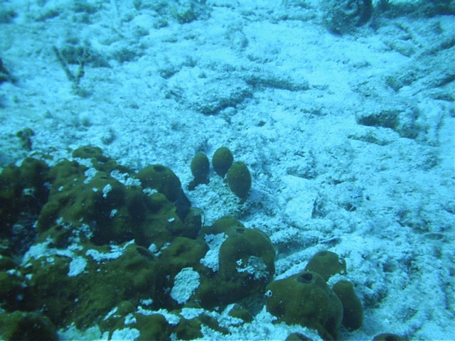 IMAG0028.JPG