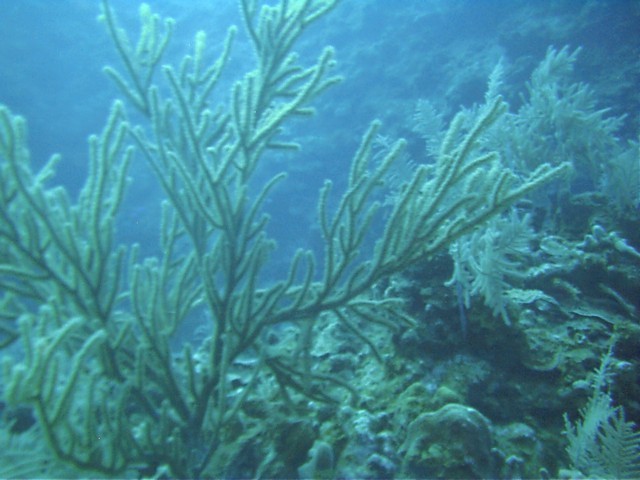 IMAG0029.JPG