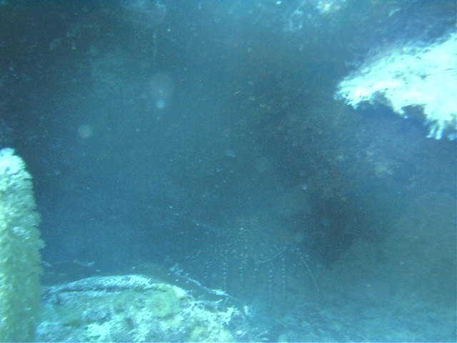 IMAG0031.JPG