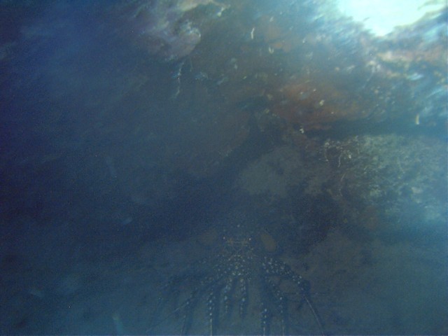 IMAG0032.JPG