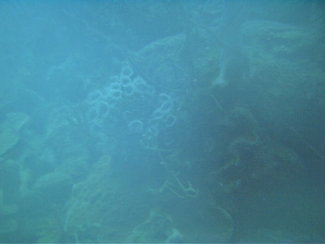 IMAG0035.JPG