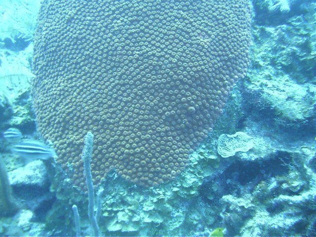 IMAG0060.JPG