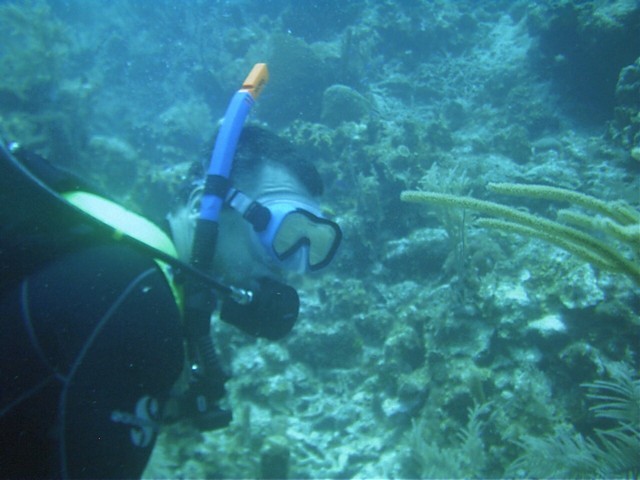 IMAG0068.JPG