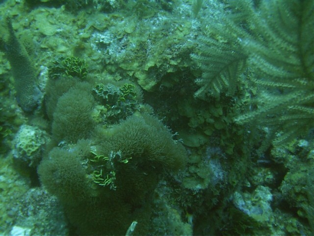 IMAG0069.JPG