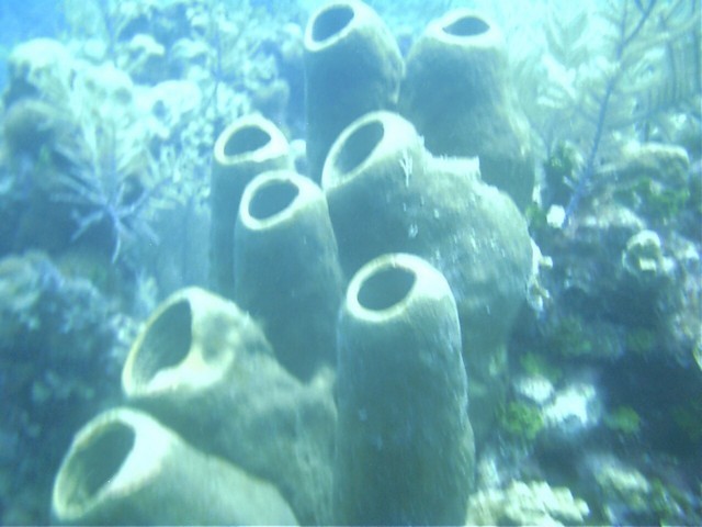 IMAG0072.JPG