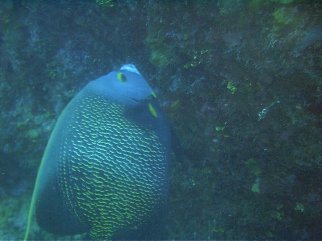 IMAG0077.JPG