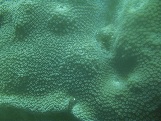IMAG0082.JPG