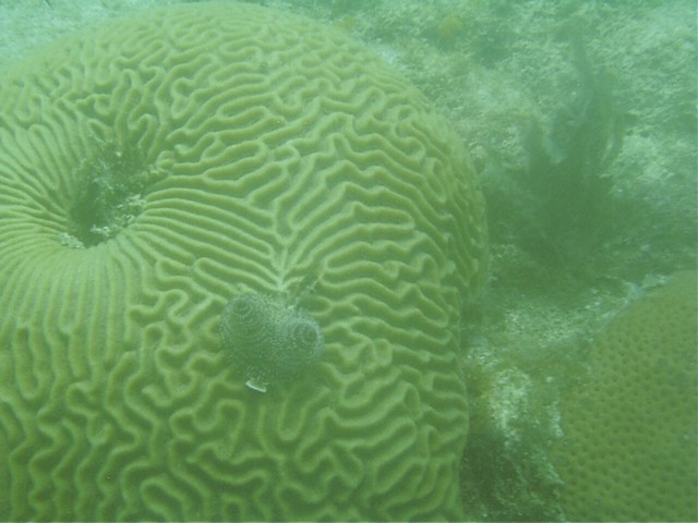 IMAG0084.JPG