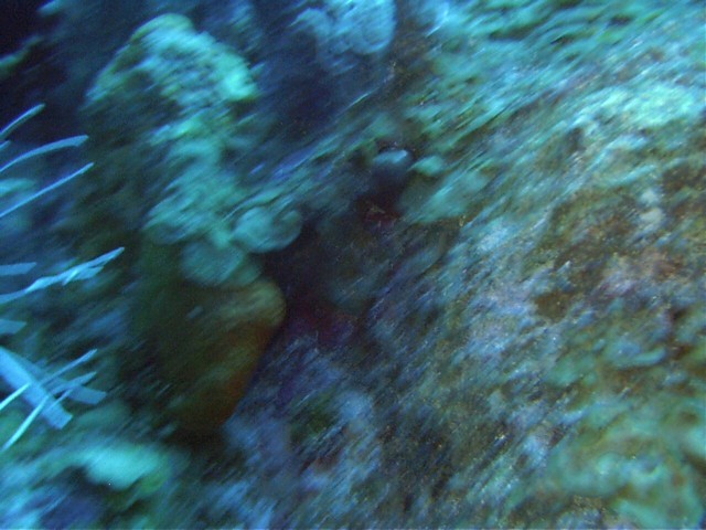 IMAG0086.JPG