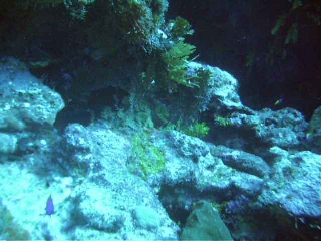 IMAG0087.JPG