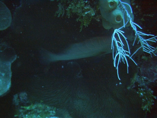 IMAG0089.JPG