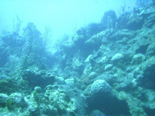 IMAG0092.JPG