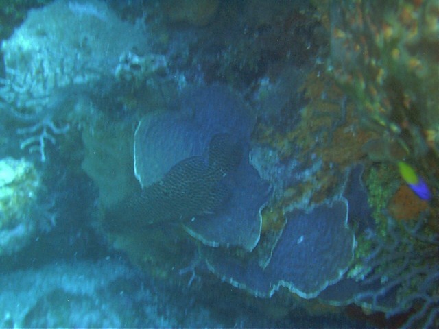 IMAG0093.JPG