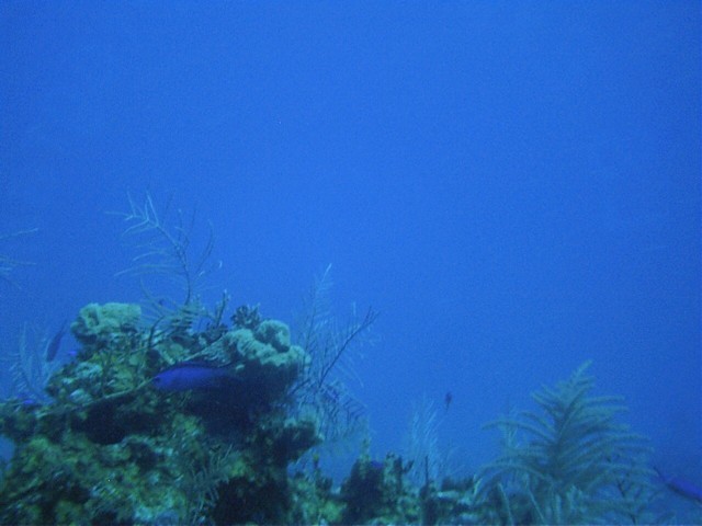 IMAG0097.JPG
