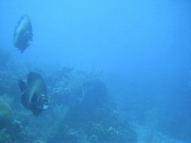 IMAG0100.JPG