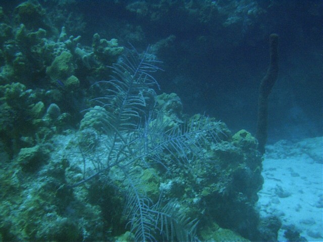 IMAG0101.JPG