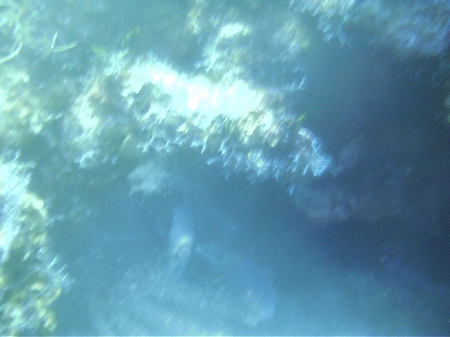 IMAG0104.JPG