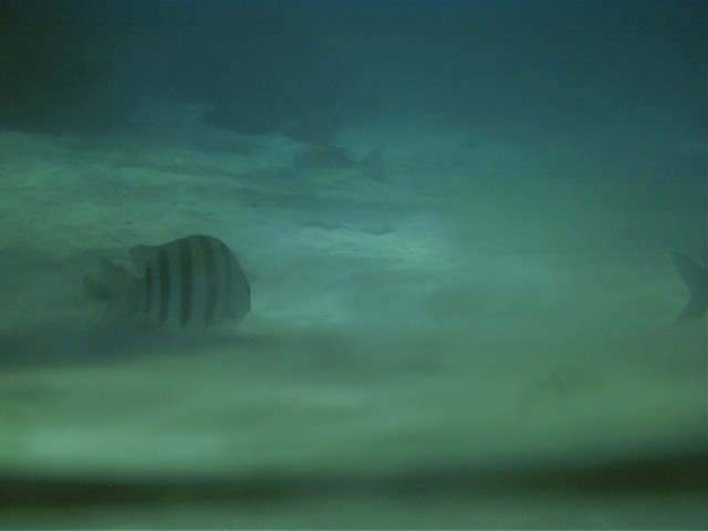 IMAG0108.JPG