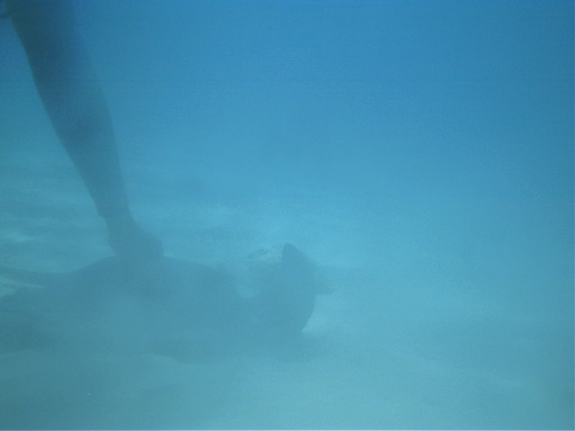 IMAG0110.JPG