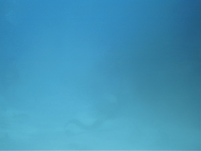 IMAG0112.JPG