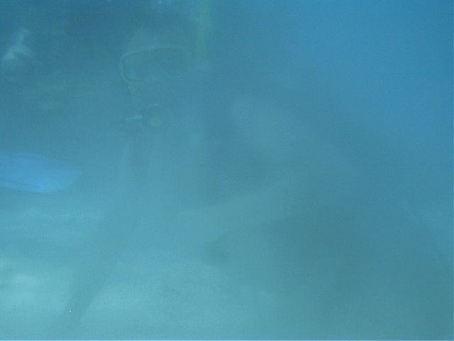 IMAG0115.JPG